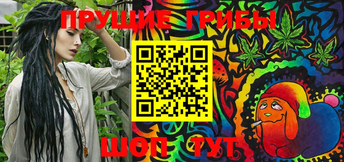 Кинель  Галлюциногенные грибы Magic Shrooms  Вход с VPN 